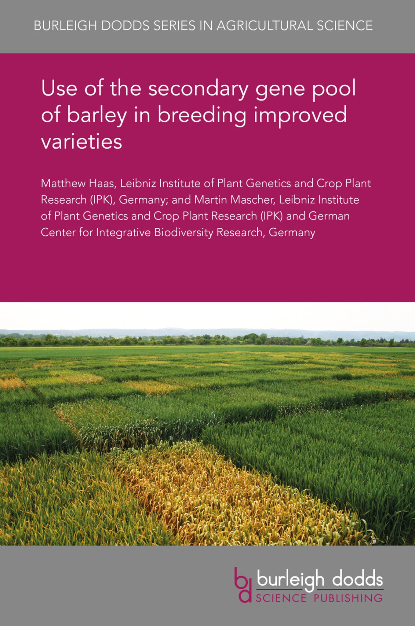 Cover image for Use of the secondary gene pool of barley in breeding improved varieties ISBN 9781838798215